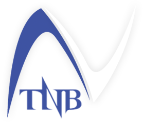 TNB - INTELLECTUAL STRATEGISTS